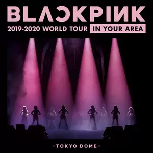 BLACKPINK - SEE U LATER(JP Ver./ BLACKPINK 2019-2020 WORLD TOUR IN YOUR AREA -TOKYO DOME)