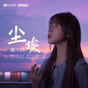 林小珂 - 尘埃(伴奏)