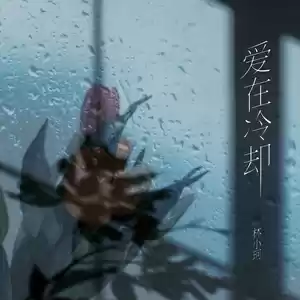 林小珂 - 爱在冷却