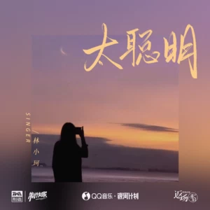 林小珂 - 太聪明(和声伴奏)